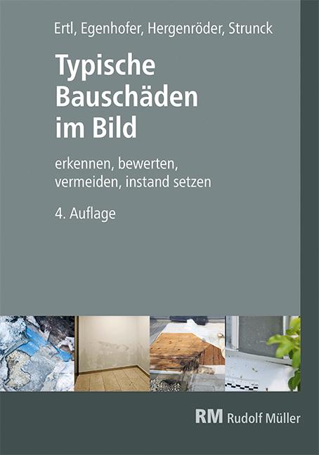 Vorderes Coverbild Typische Bauschäden im Bild