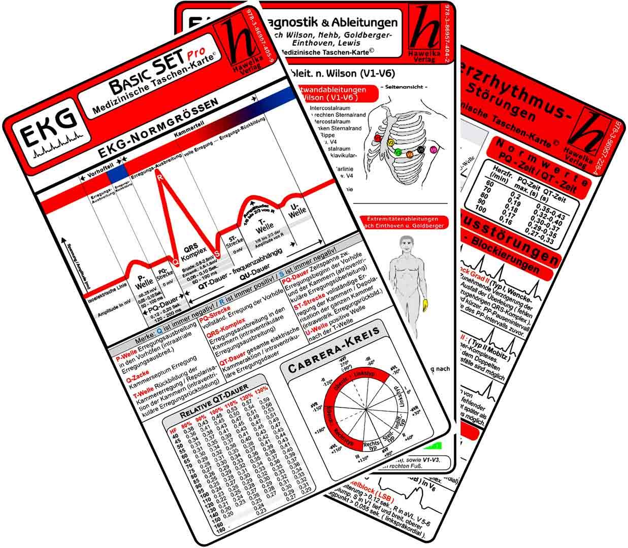 Vorderes Coverbild EKG Basic Set - PRO (3er Set) 2025 - Medizinische Taschen-Karte