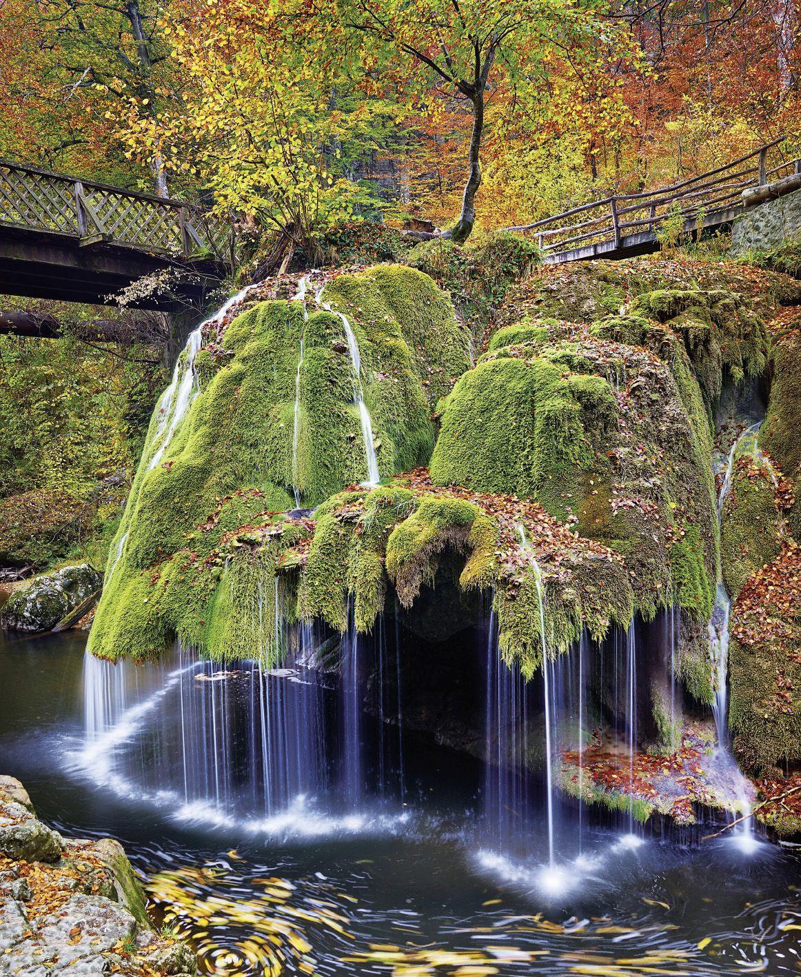 Beispielinhalt (Bild) motivation 2026