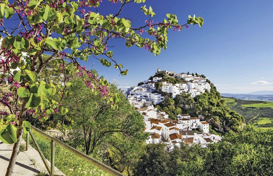 Beispielinhalt (Bild) Flair des Südens 2026