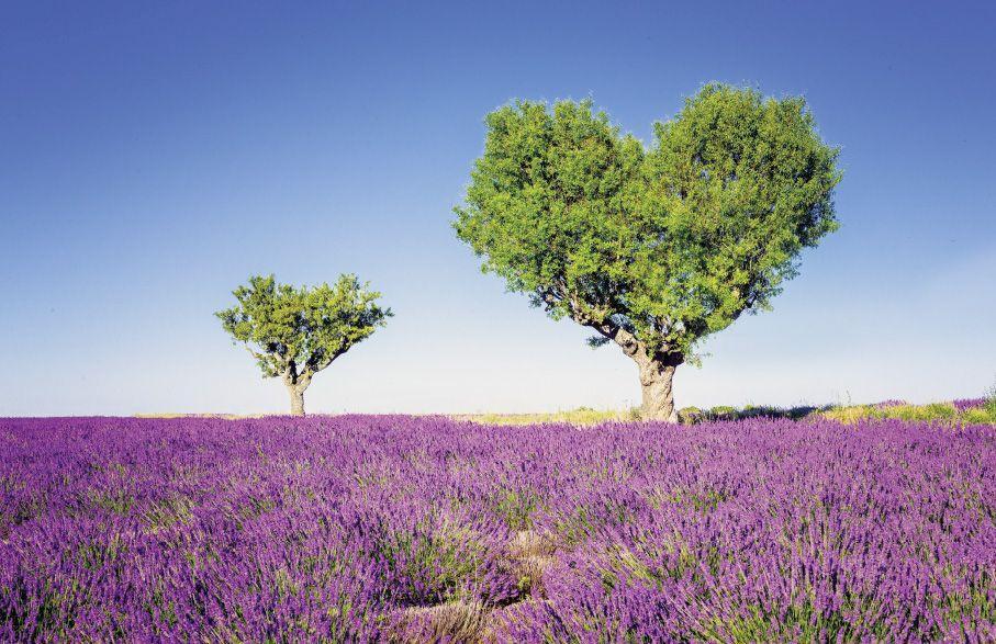 Beispielinhalt (Bild) Flair des Südens 2026