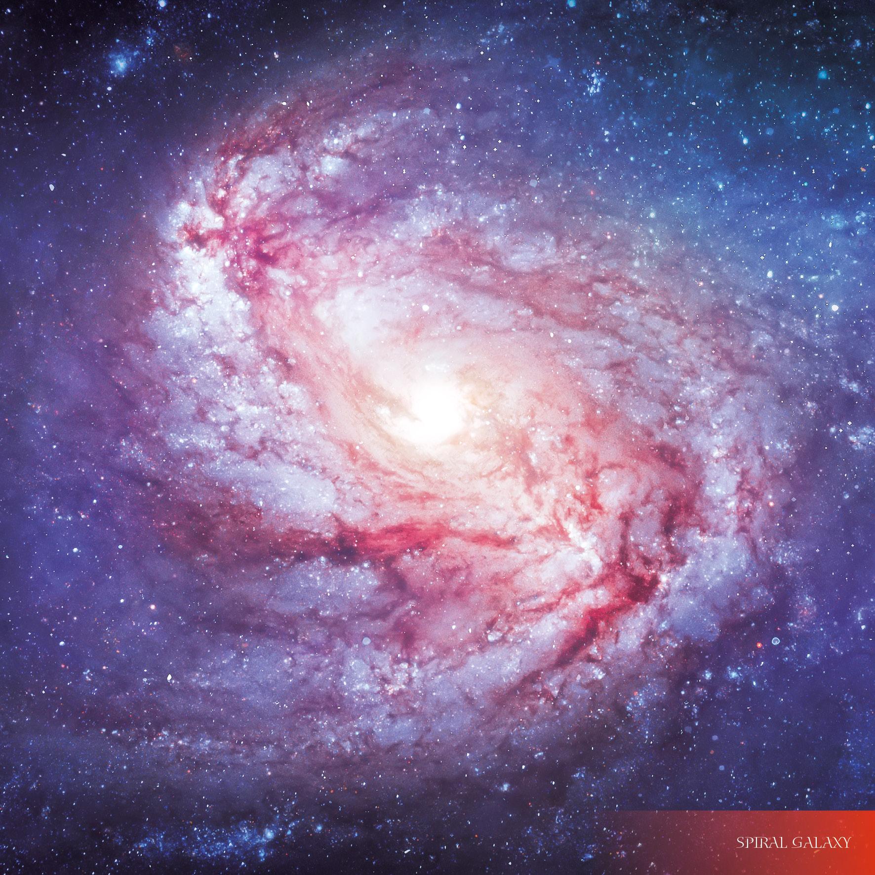 Beispielinhalt (Bild) Where Stars are Born 2026