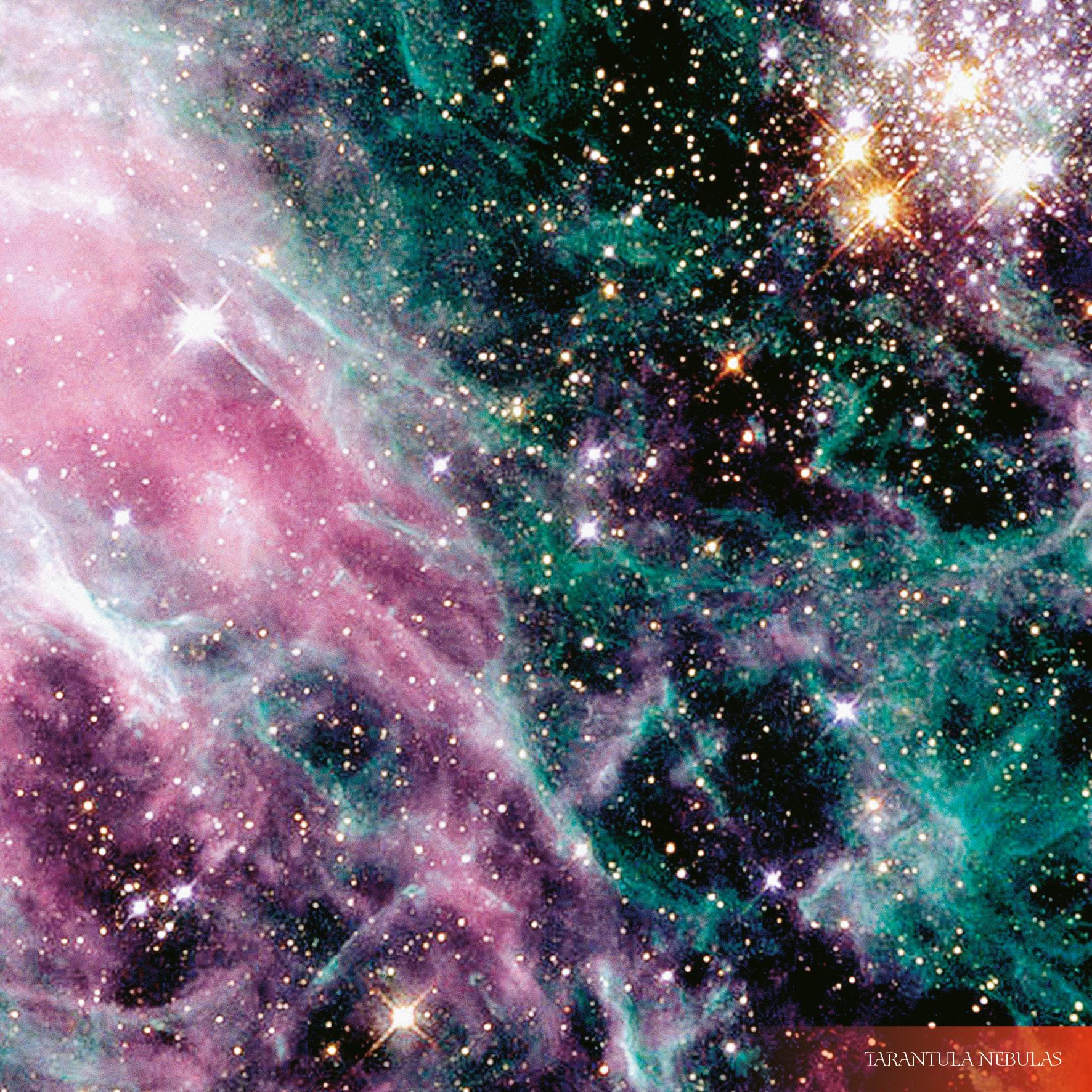 Beispielinhalt (Bild) Where Stars are Born 2026