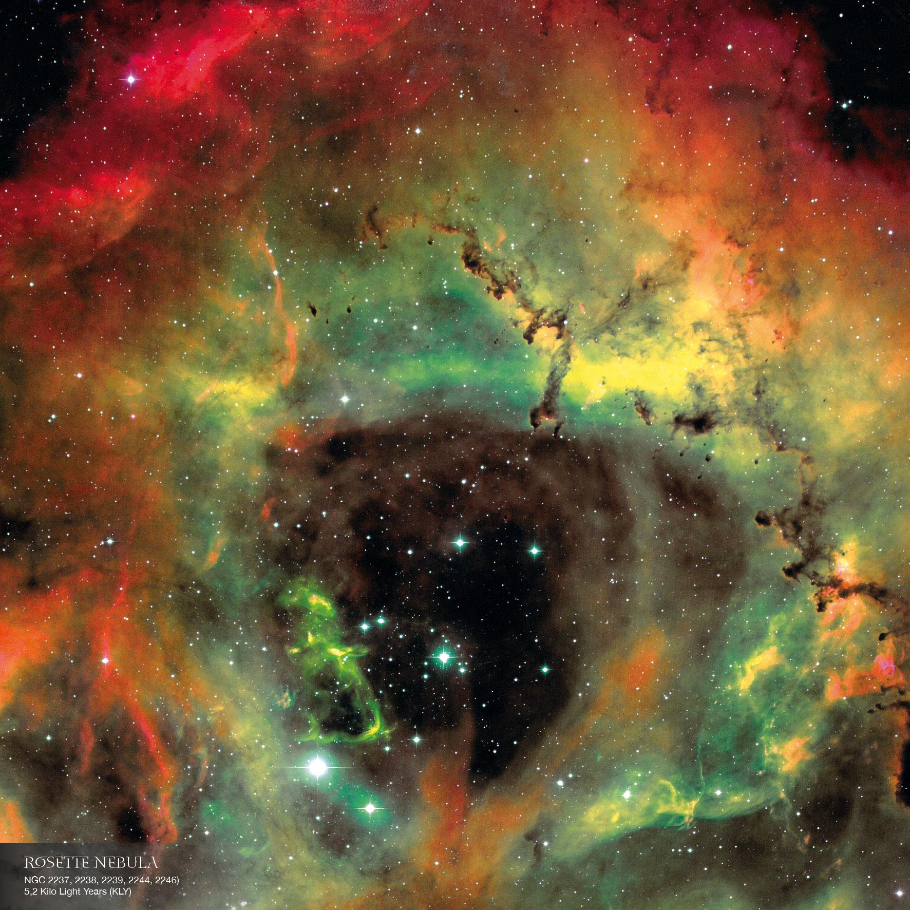 Beispielinhalt (Bild) Where Stars are Born 2026