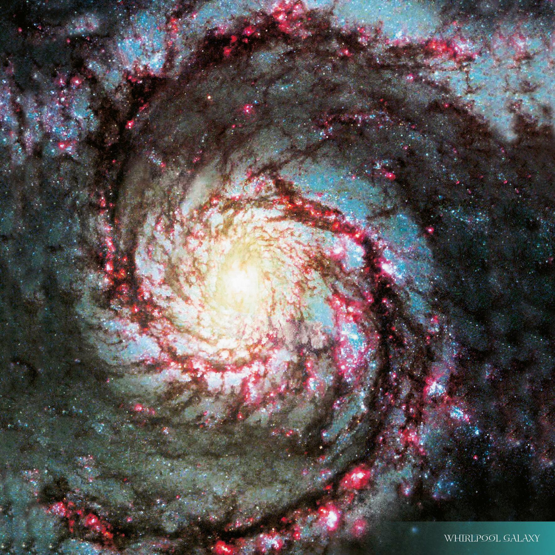 Beispielinhalt (Bild) Where Stars are Born 2026