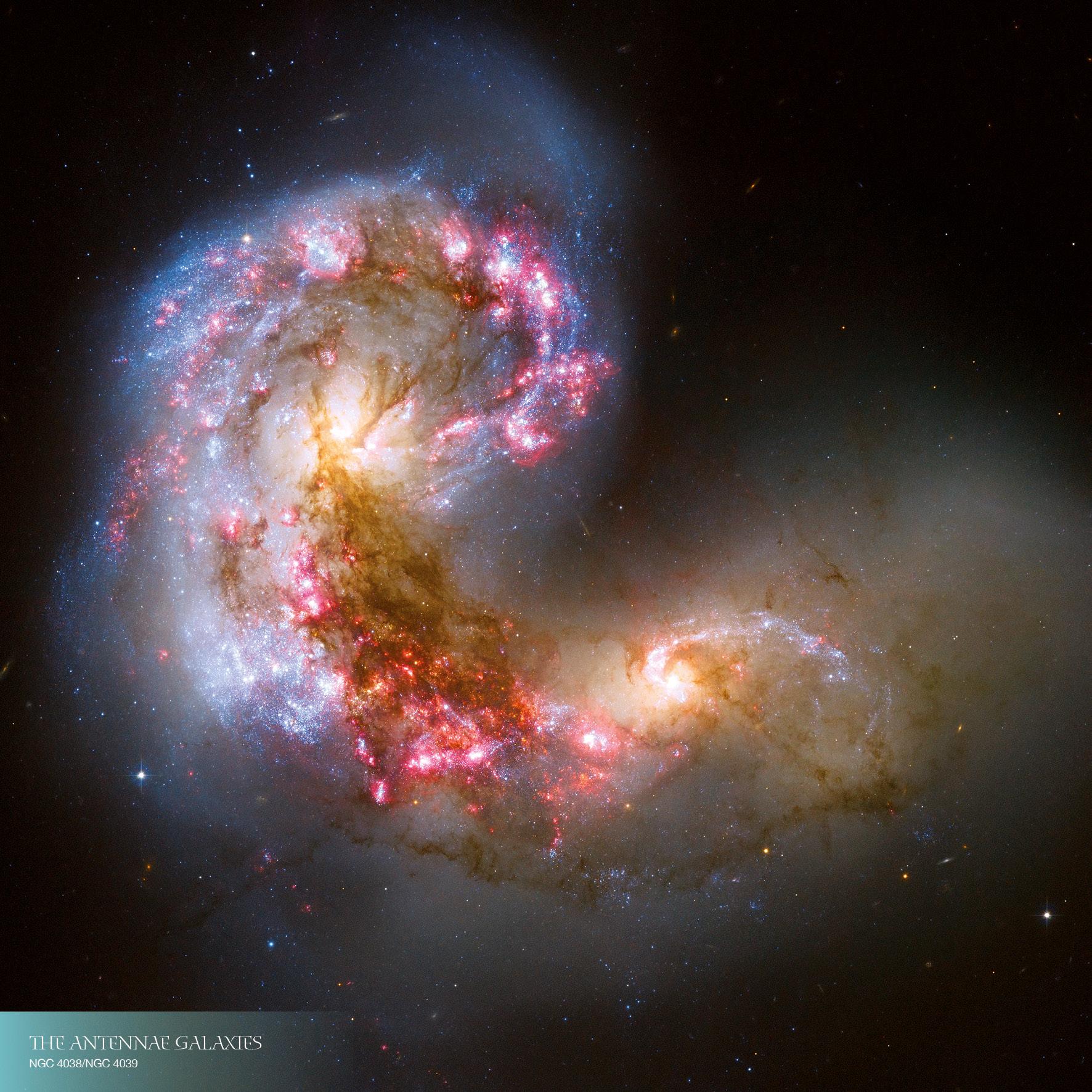 Beispielinhalt (Bild) Where Stars are Born 2026