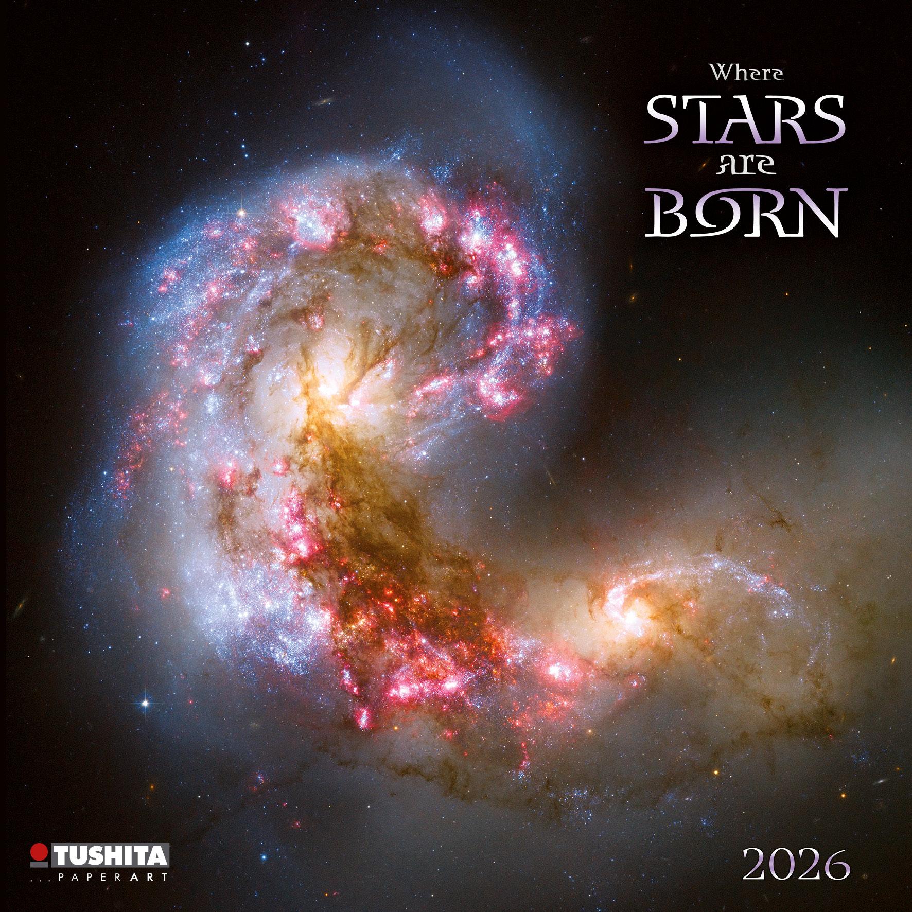 Vorderes Coverbild Where Stars are Born 2026