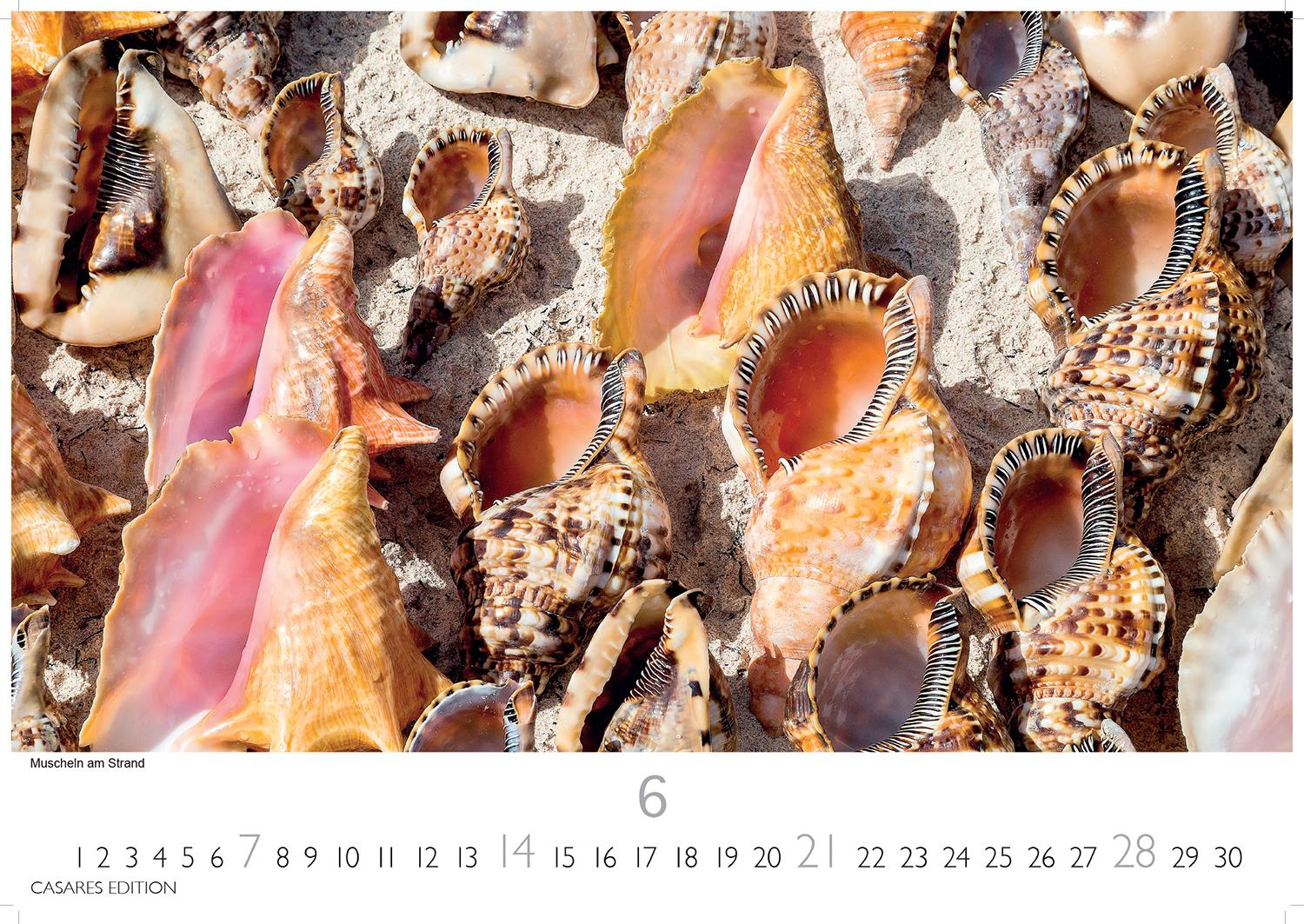 Beispielinhalt (Bild) Dominikanische Republik Kalender 2026 - Wandkalender | Fotokalender Südamerika 24x35cm - Bildkalender mit exotischen Motiven, ideal für Strandfans, Weltenbummler & Karibikträumer