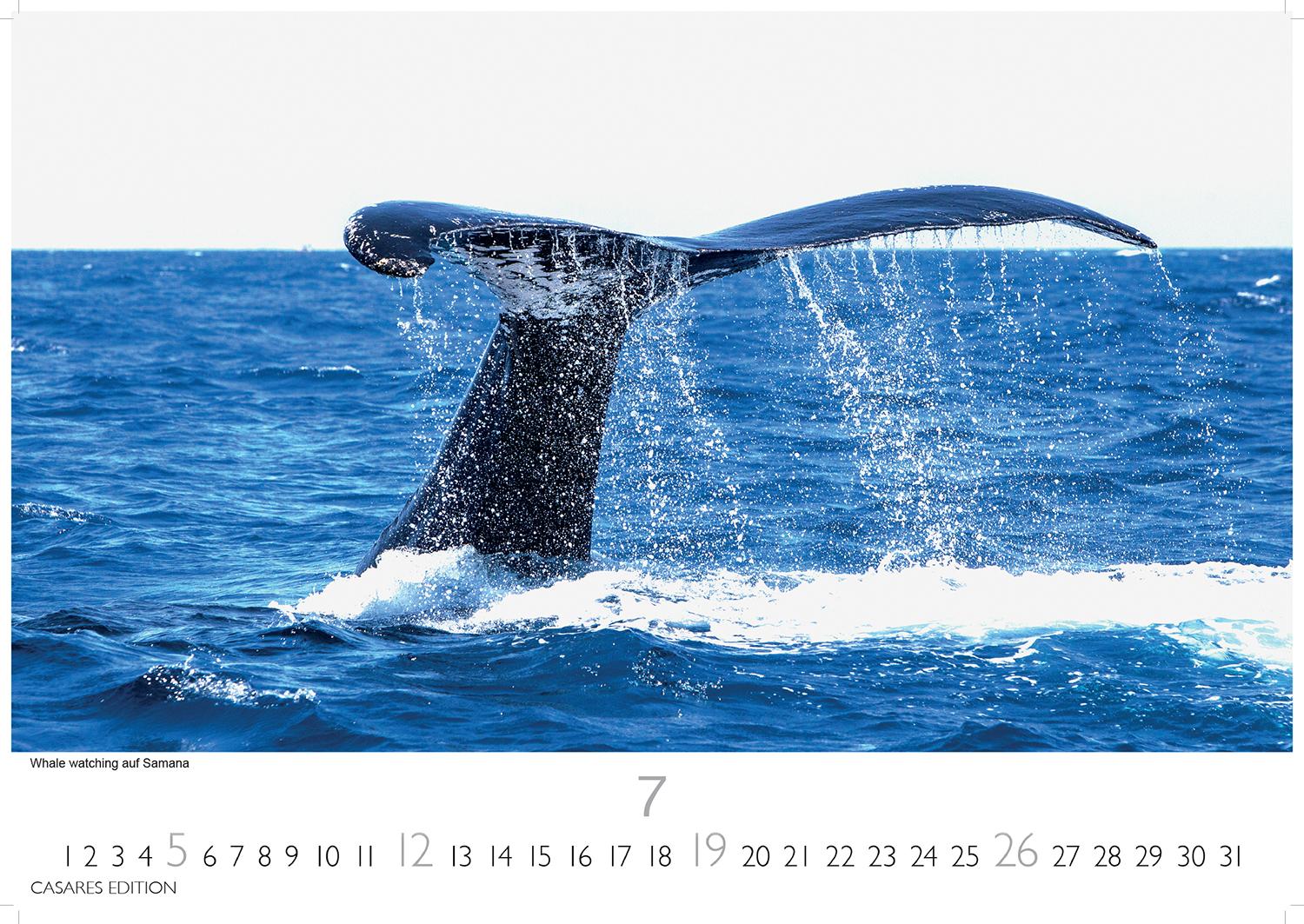 Beispielinhalt (Bild) Dominikanische Republik Kalender 2026 - Wandkalender | Fotokalender Südamerika 24x35cm - Bildkalender mit exotischen Motiven, ideal für Strandfans, Weltenbummler & Karibikträumer