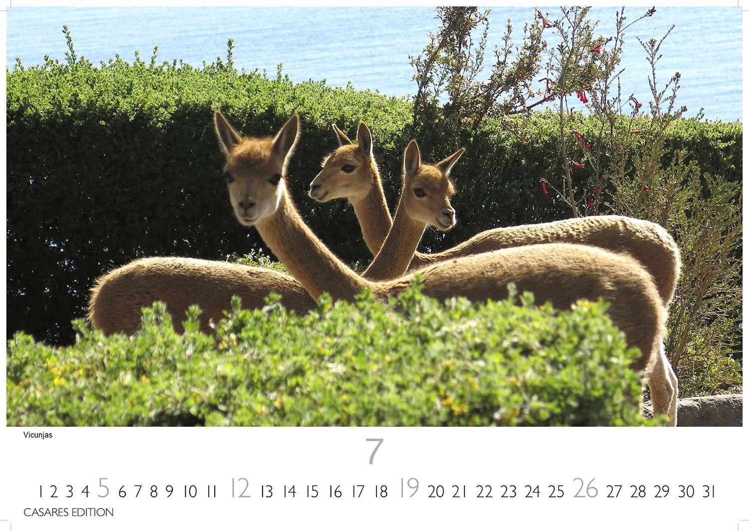 Beispielinhalt (Bild) Peru Kalender 2026 - Wandkalender | Fotokalender Südamerika 24x35cm - Bildkalender mit faszinierenden Natur- und Kulturszenen für Reisefans, Südamerika-Liebhaber & Träumer