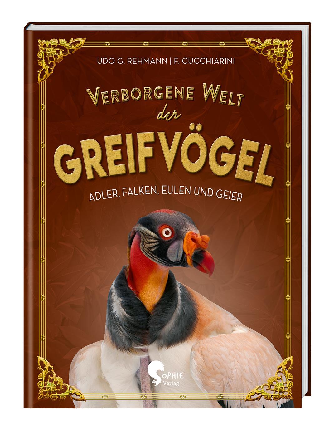 Vorderes Coverbild Verborgene Welt der Greifvögel