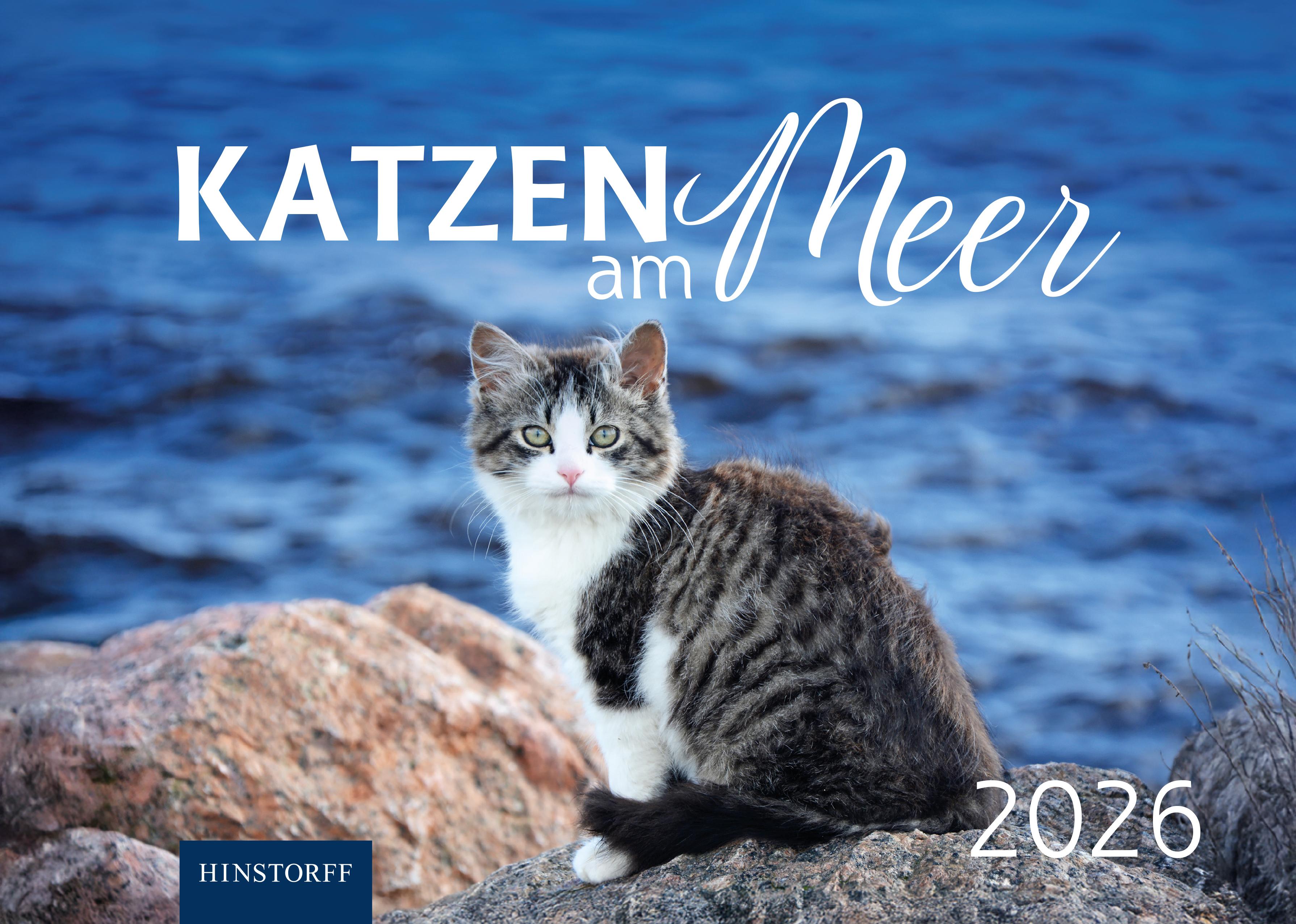 Vorderes Coverbild Katzen am Meer 2026