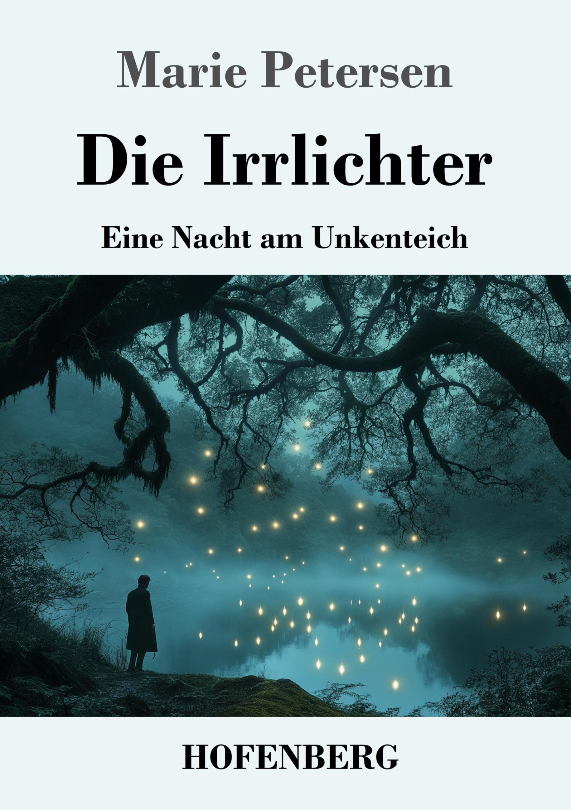 Vorderes Coverbild Die Irrlichter