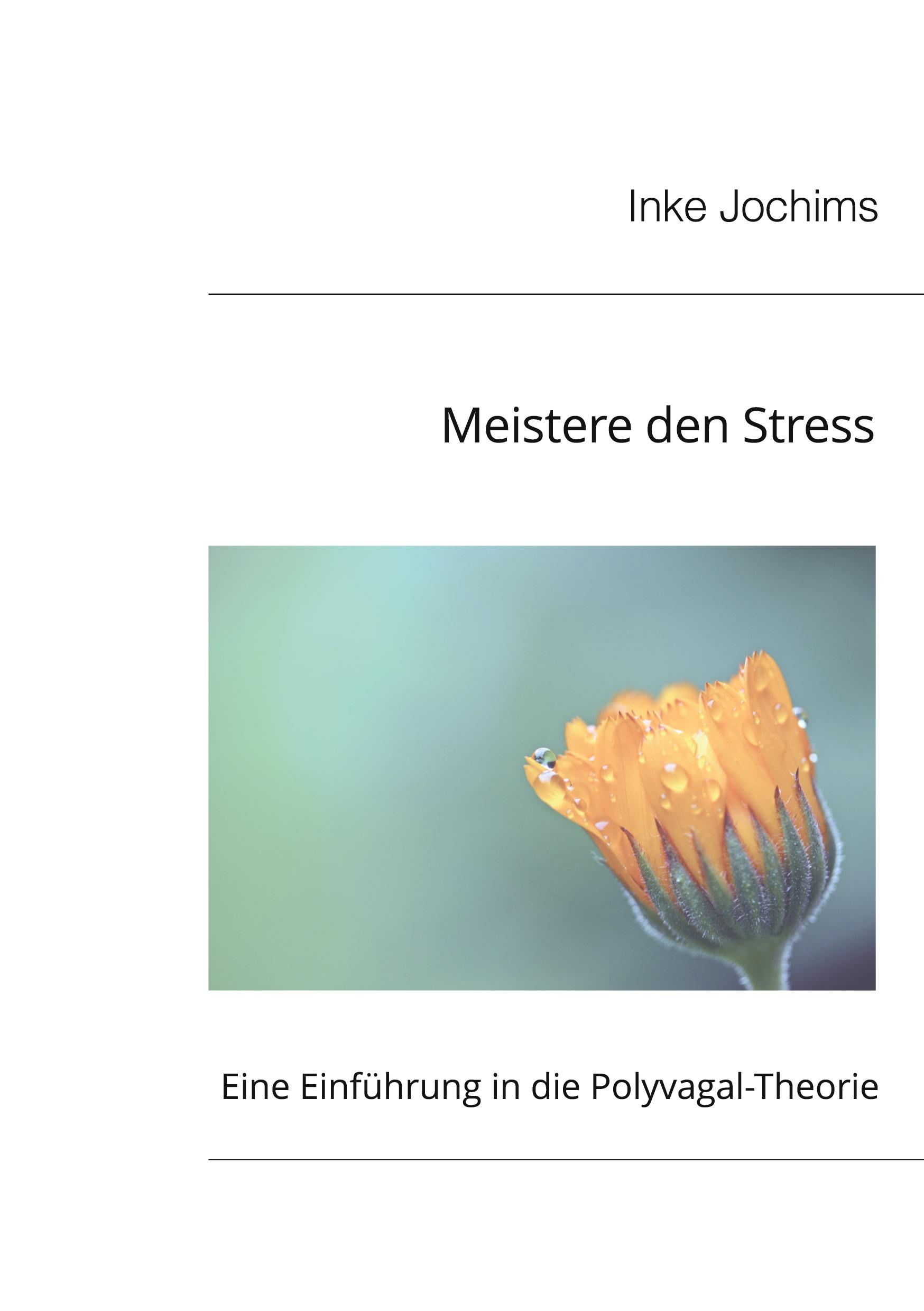 Vorderes Coverbild Meistere den Stress