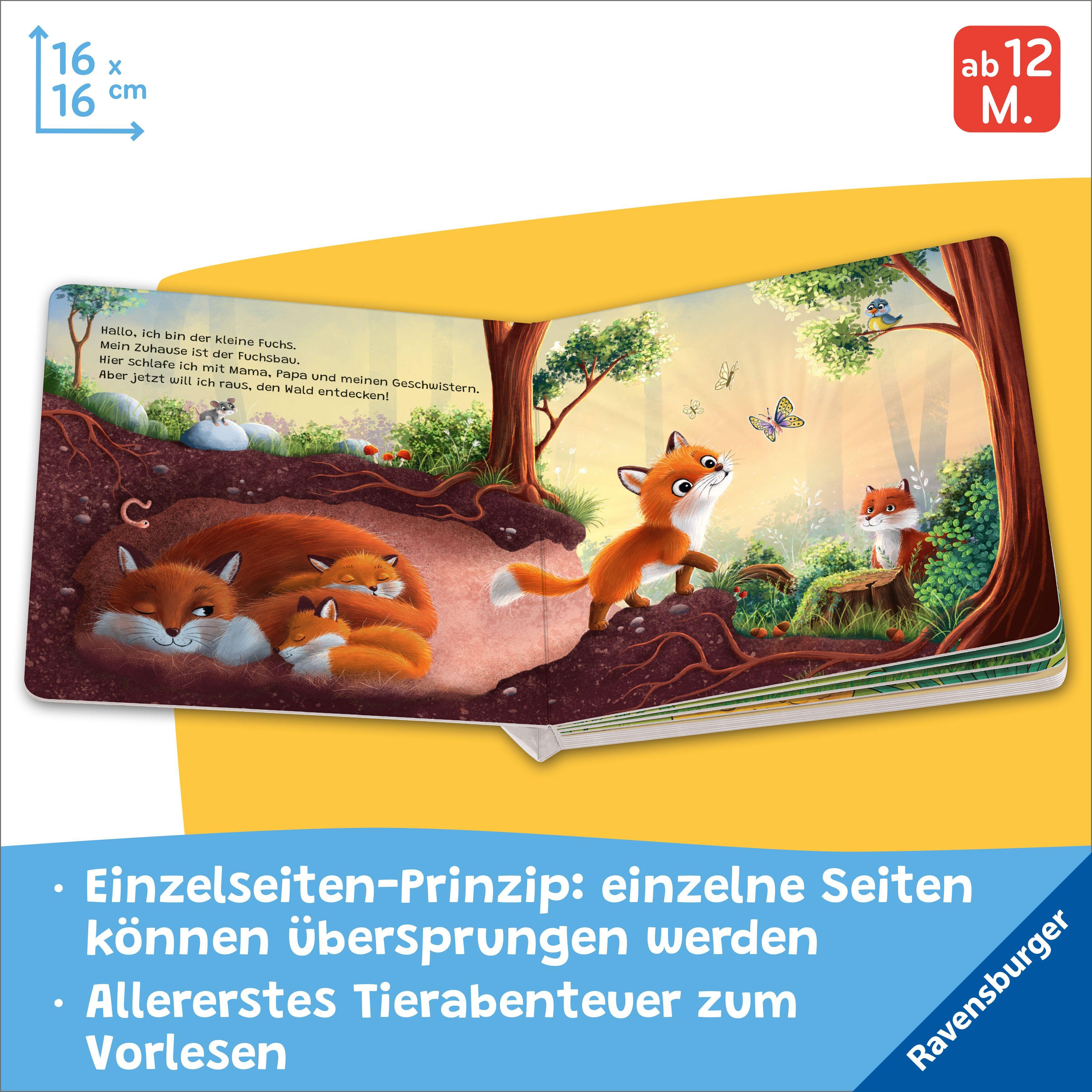 Beispielinhalt (Bild) "Hallo, hier bin ich!", ruft der kleine Fuchs