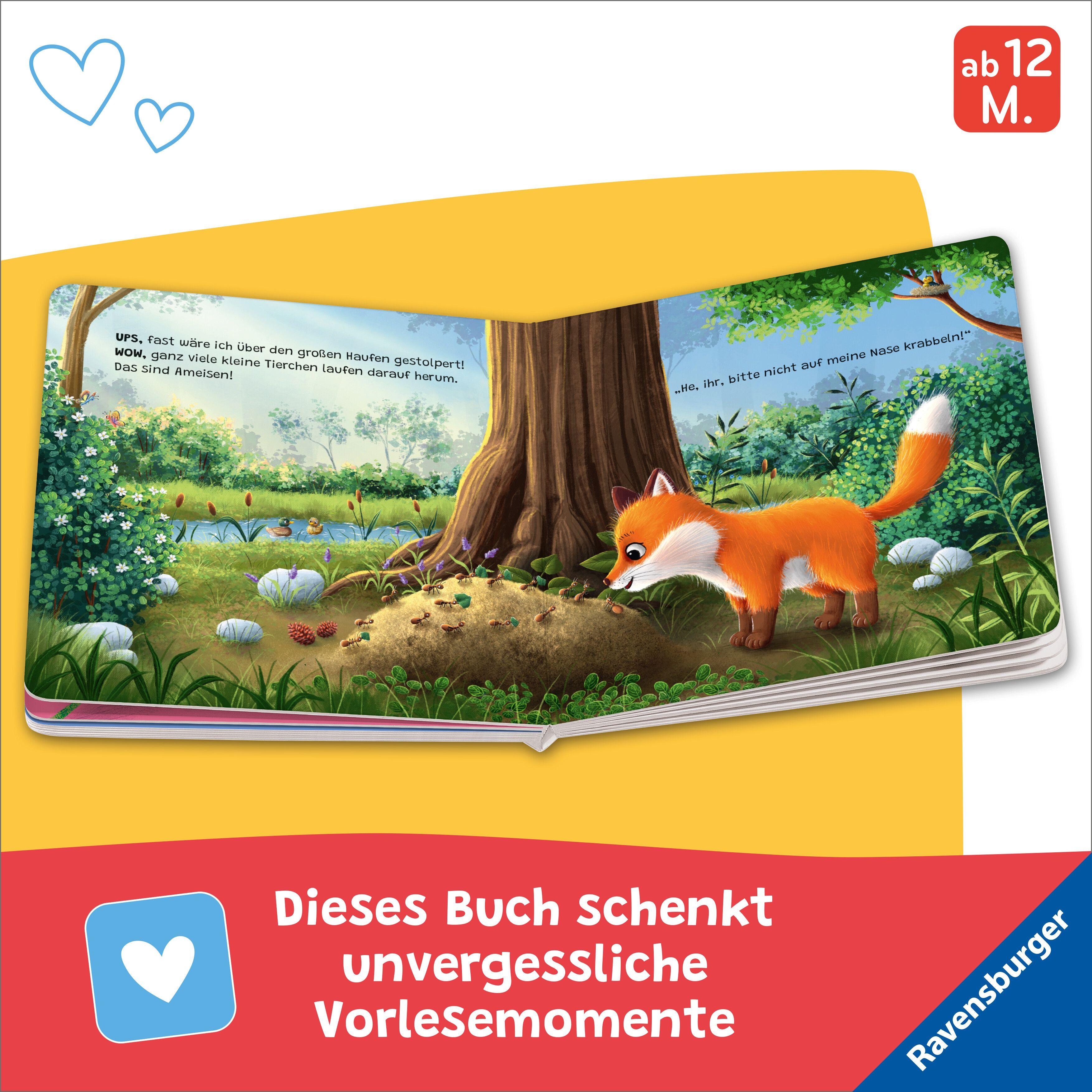 Beispielinhalt (Bild) "Hallo, hier bin ich!", ruft der kleine Fuchs