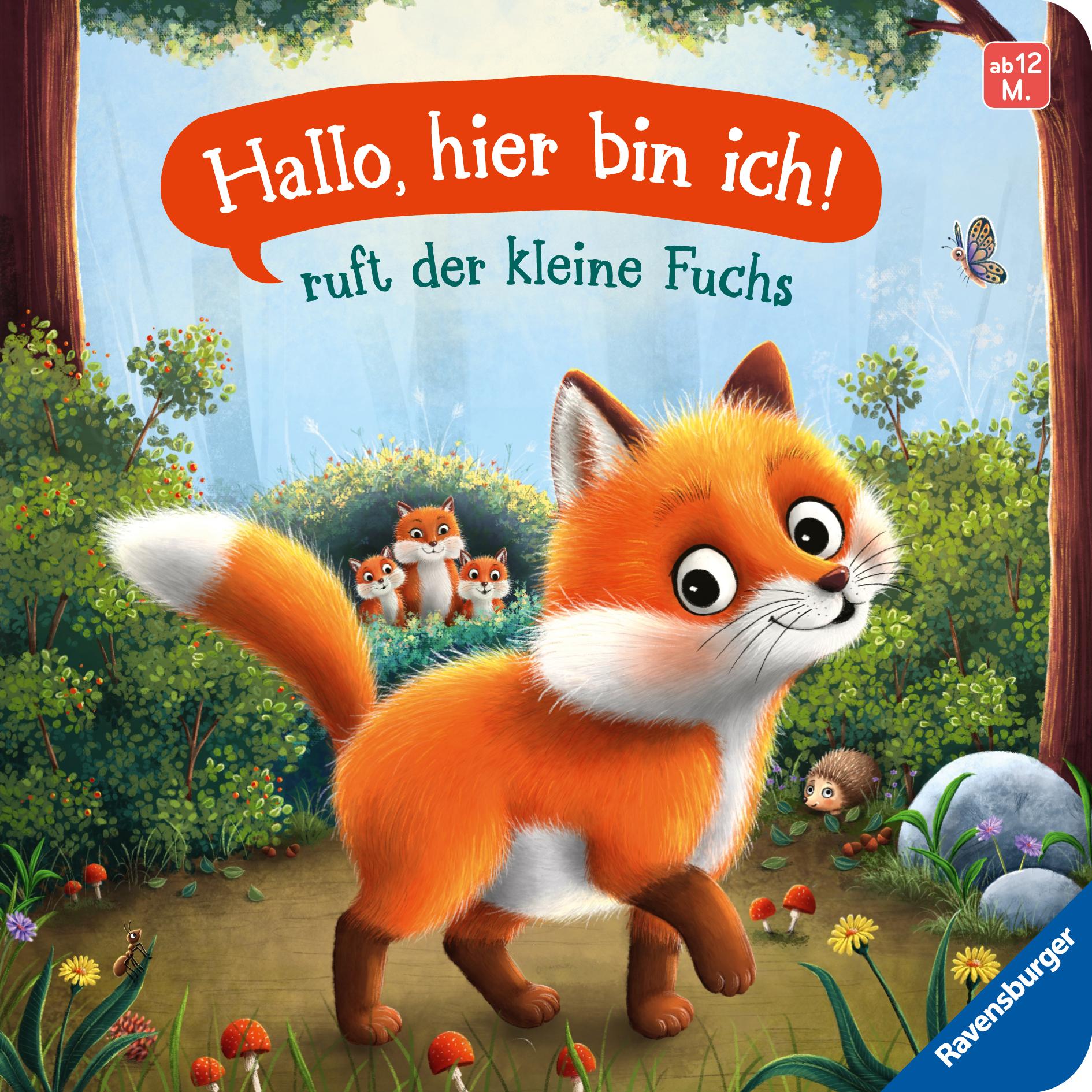Vorderes Coverbild "Hallo, hier bin ich!", ruft der kleine Fuchs