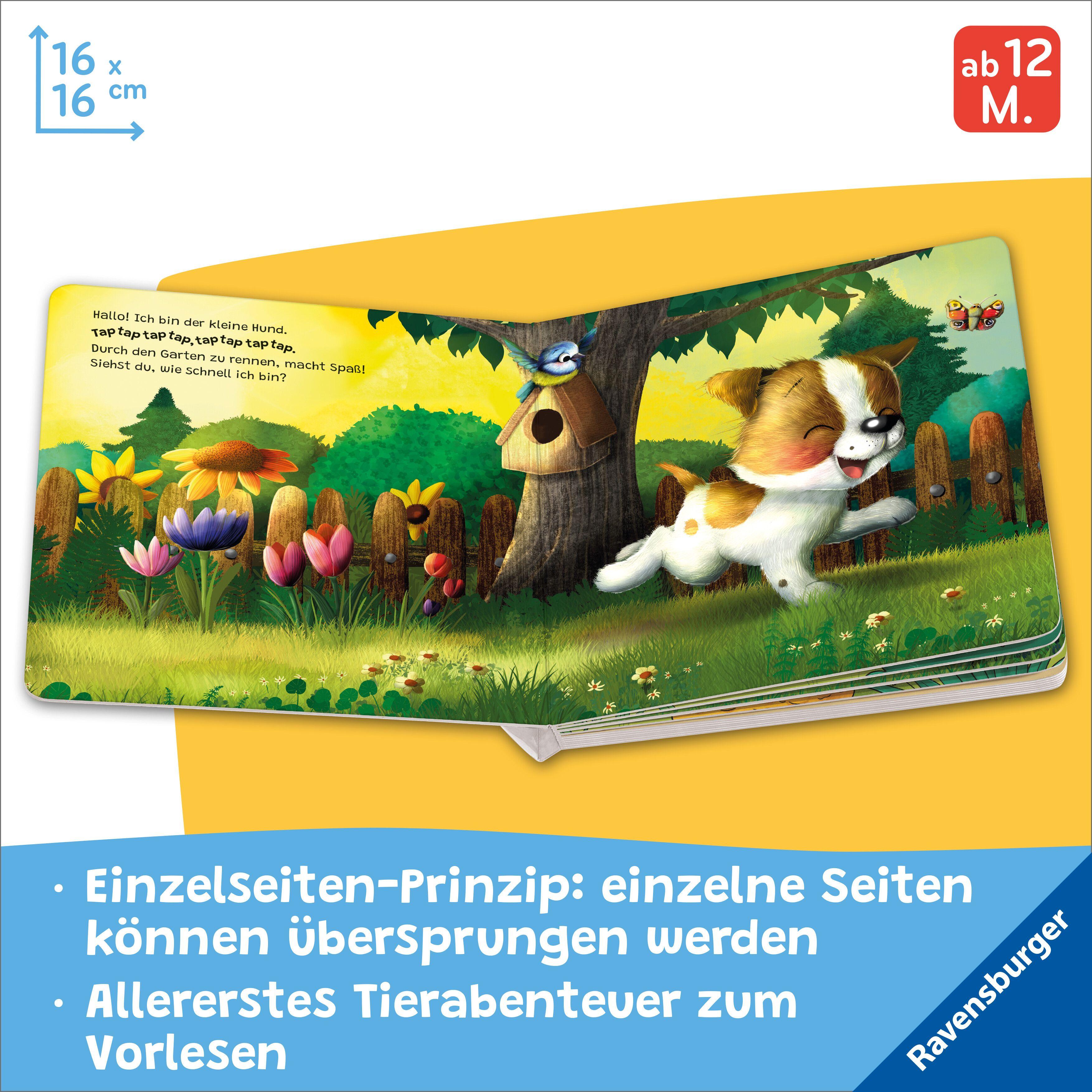 Beispielinhalt (Bild) "Hallo, hier bin ich!", ruft der kleine Hund