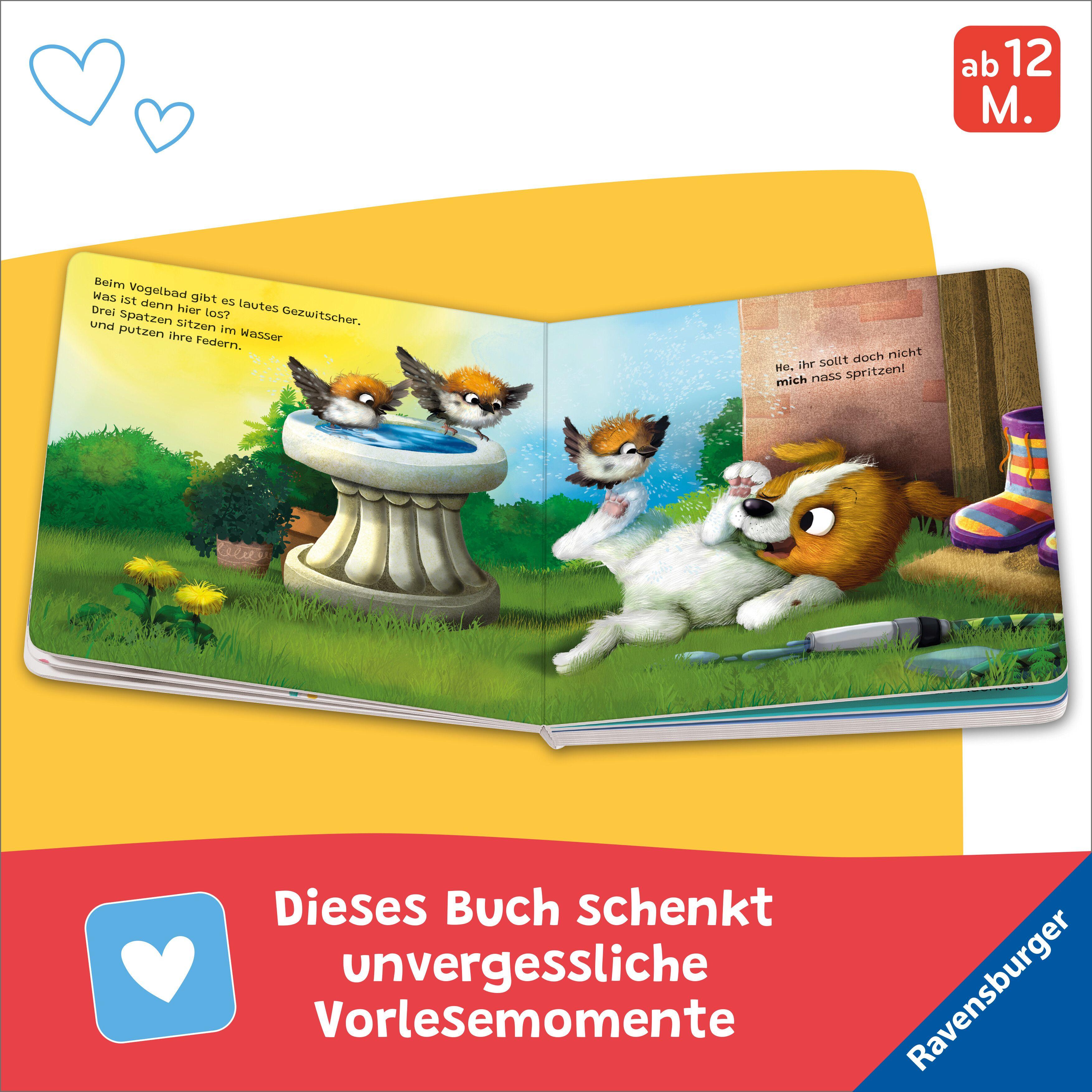 Beispielinhalt (Bild) "Hallo, hier bin ich!", ruft der kleine Hund