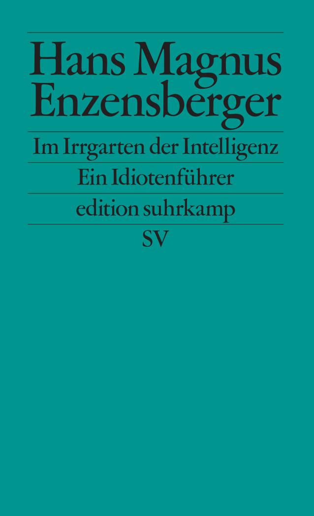 Vorderes Coverbild Im Irrgarten der Intelligenz
