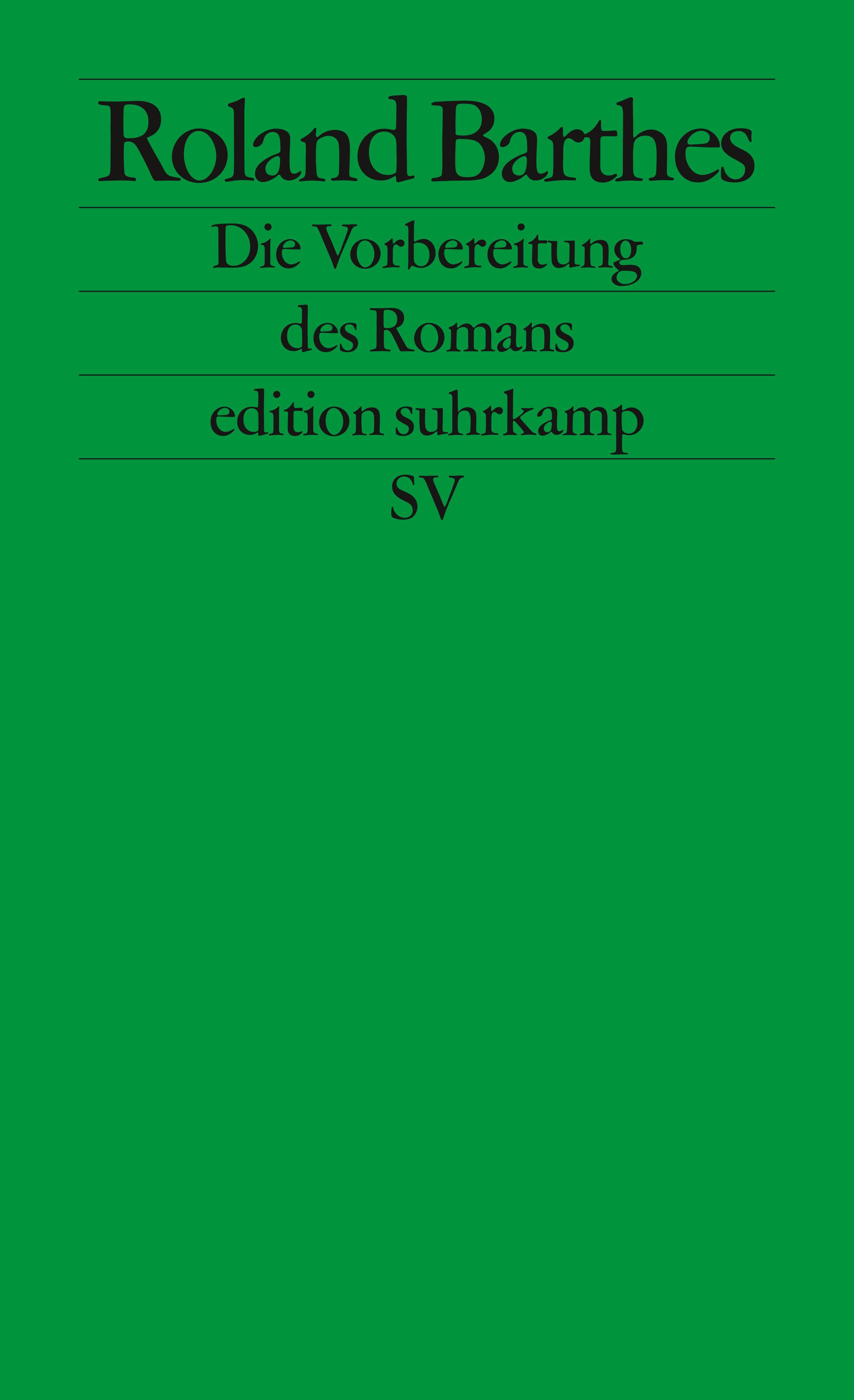 Vorderes Coverbild Die Vorbereitung des Romans