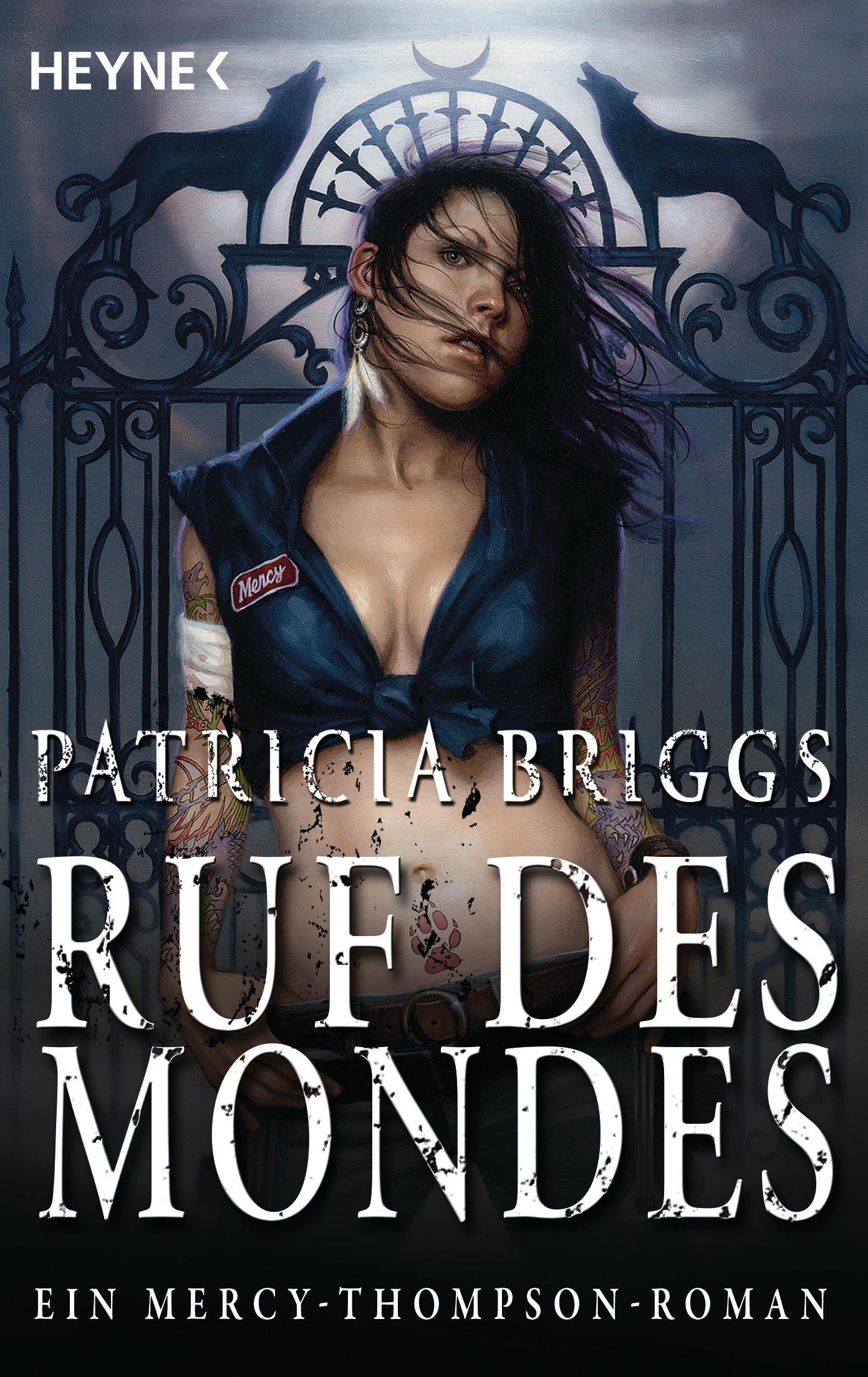 Vorderes Coverbild Ruf des Mondes
