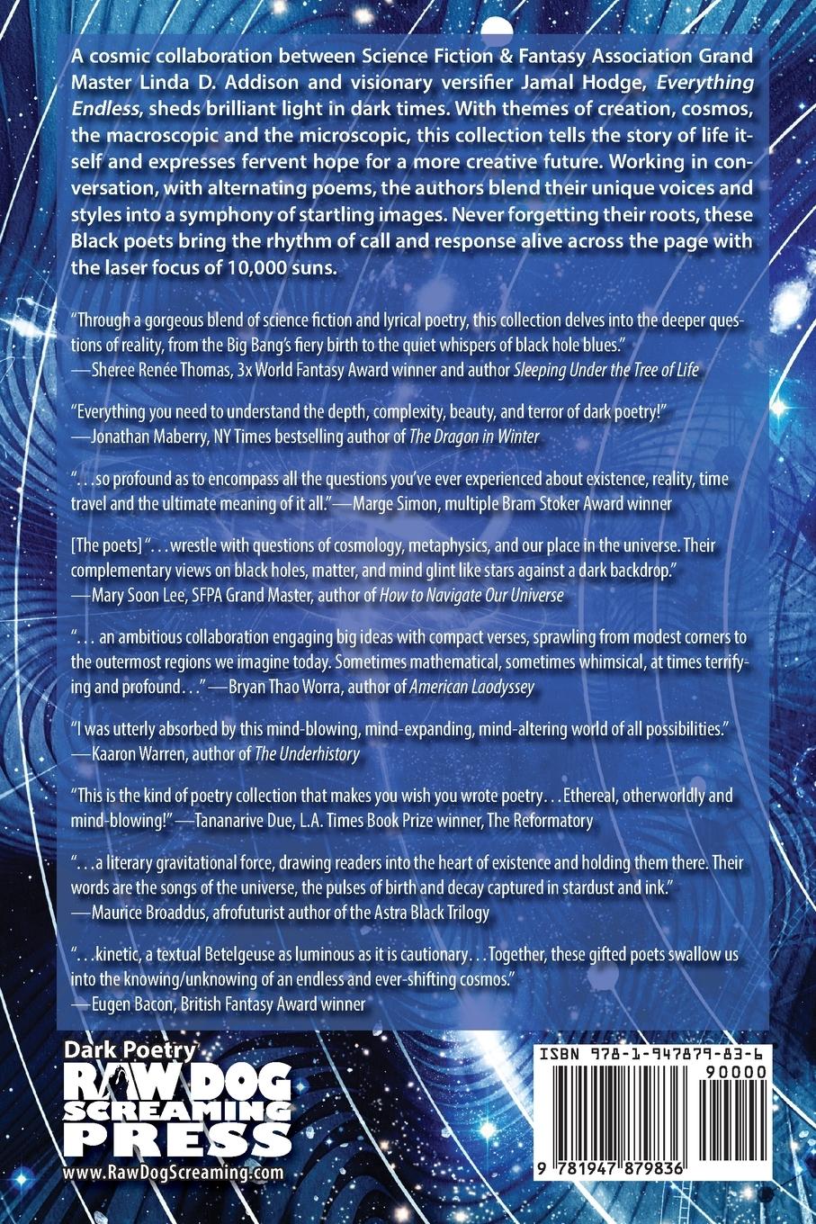 Rückseitencover Everything Endless