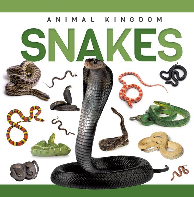 Vorderes Coverbild Snakes