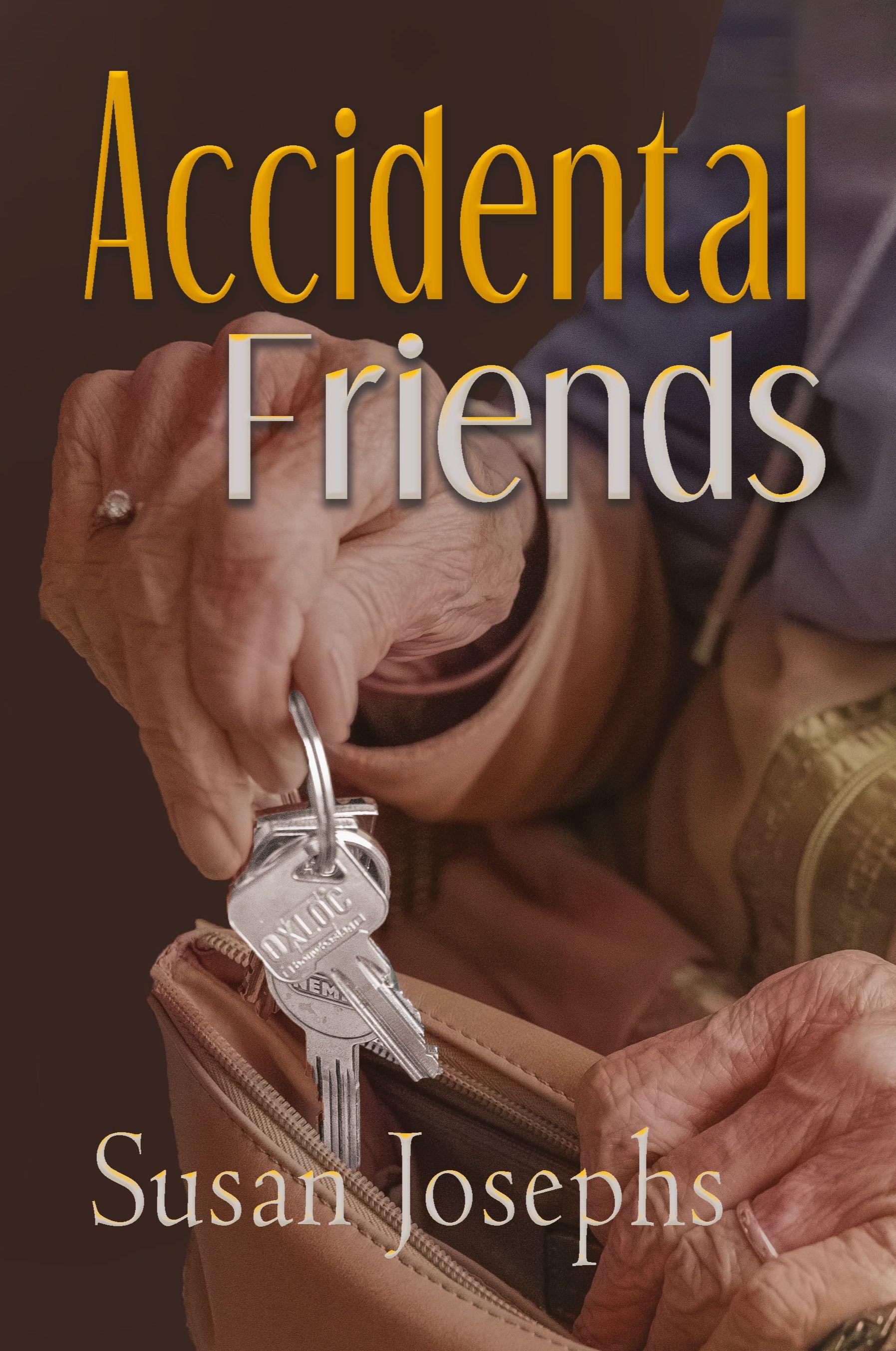 Vorderes Coverbild Accidental Friends