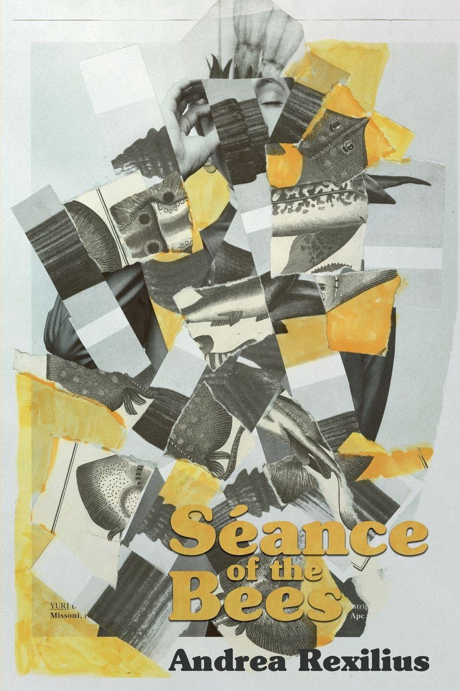 Vorderes Coverbild Séance of the Bees