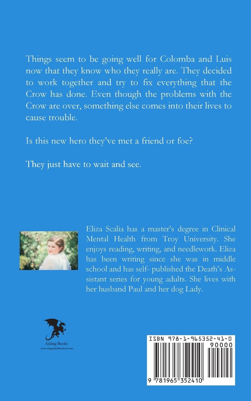 Rückseitencover A New Hero