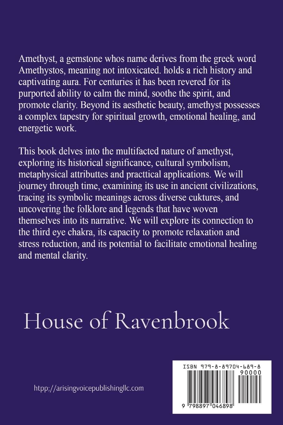 Rückseitencover The Amethyst Enigma