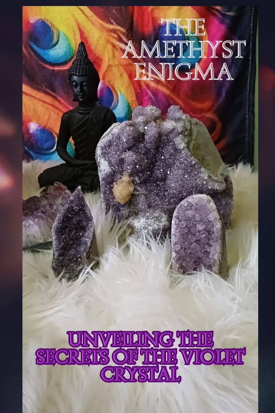 Vorderes Coverbild The Amethyst Enigma