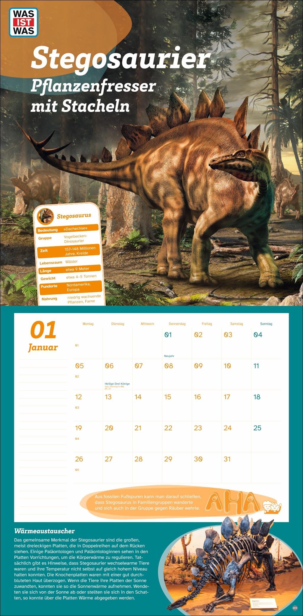 Beispielinhalt (Bild) WAS IST WAS Dinosaurier Broschurkalender 2026