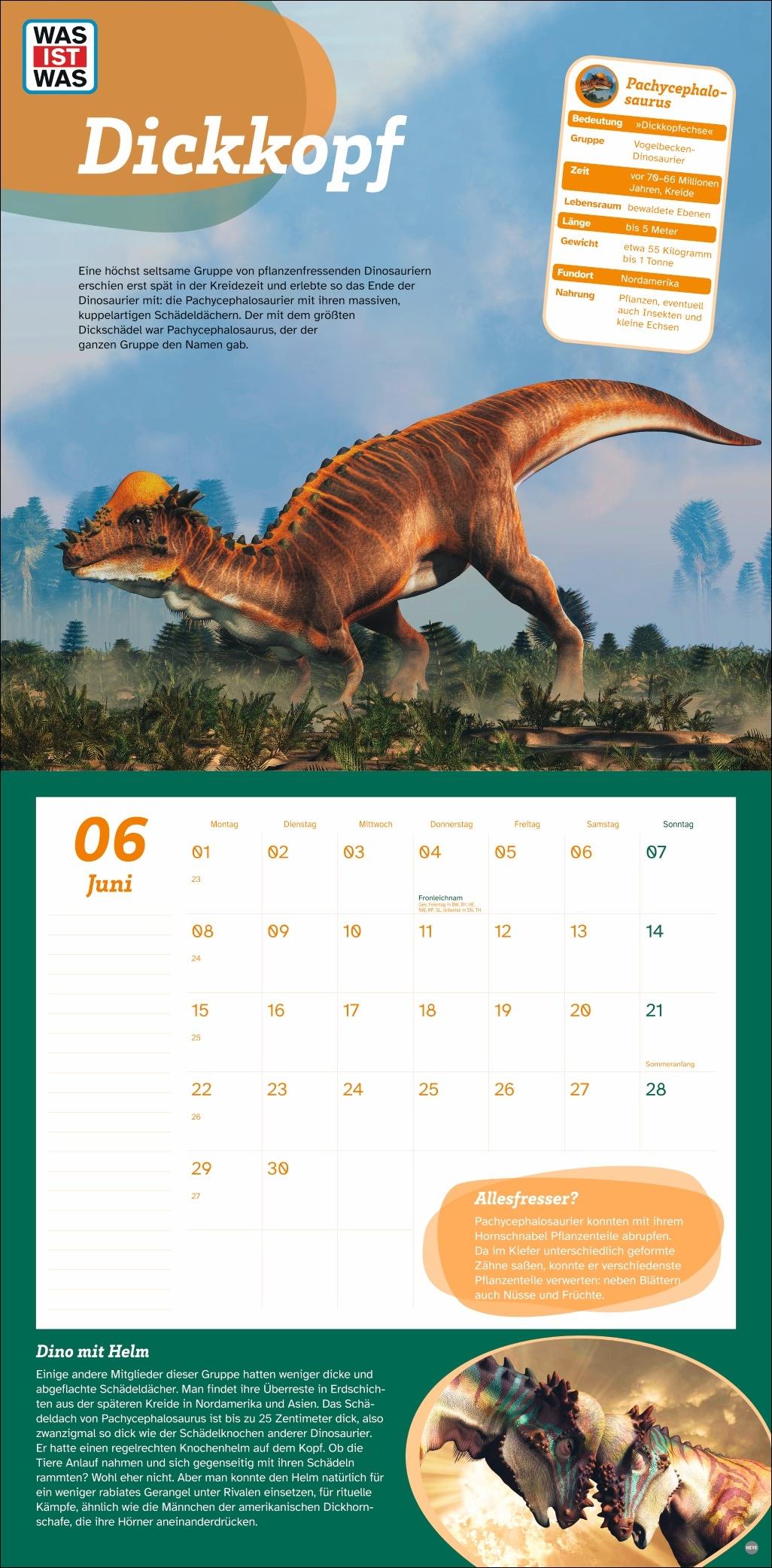 Beispielinhalt (Bild) WAS IST WAS Dinosaurier Broschurkalender 2026