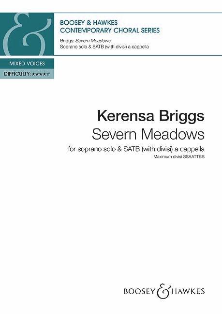 Vorderes Coverbild Severn Meadows