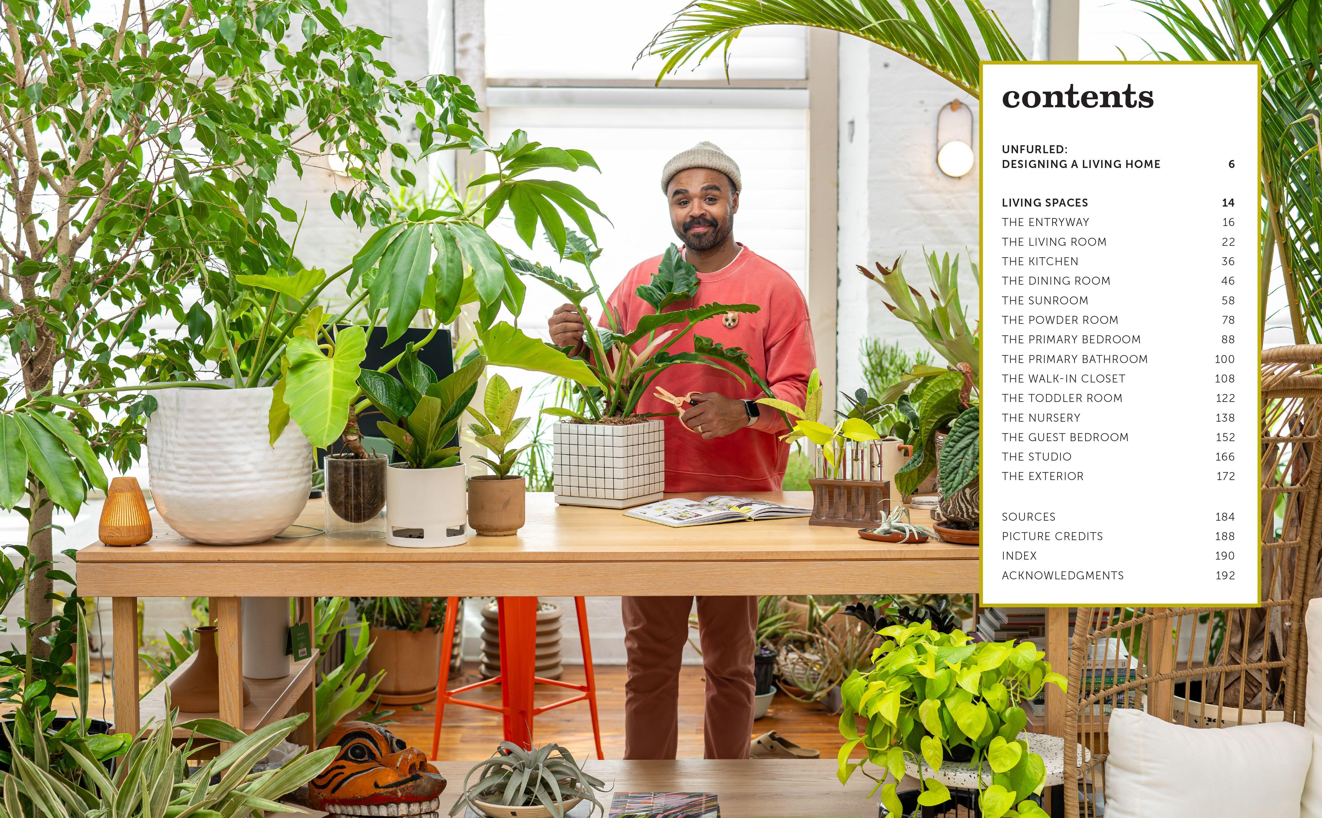 Beispielinhalt (Bild) Unfurled