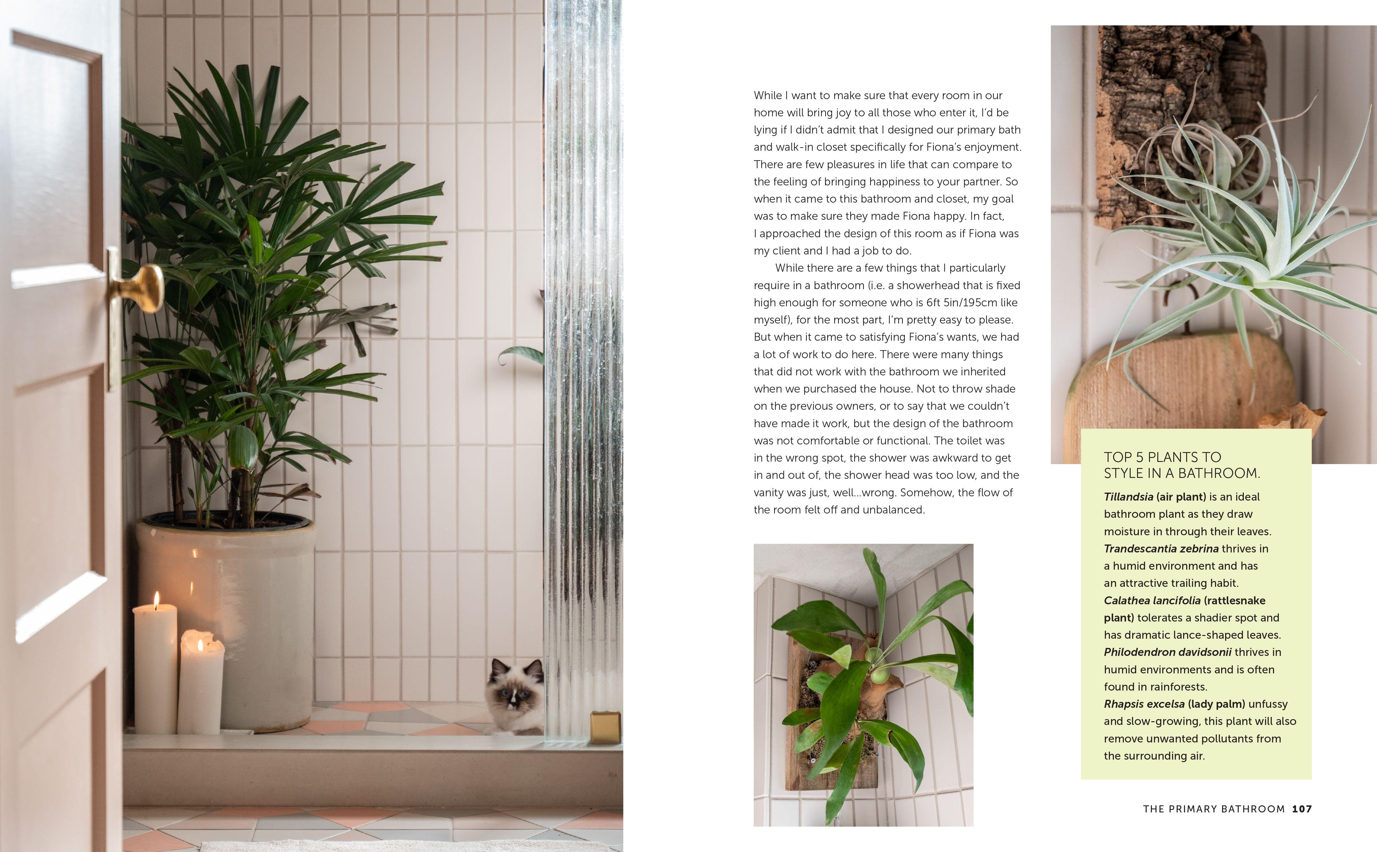 Beispielinhalt (Bild) Unfurled