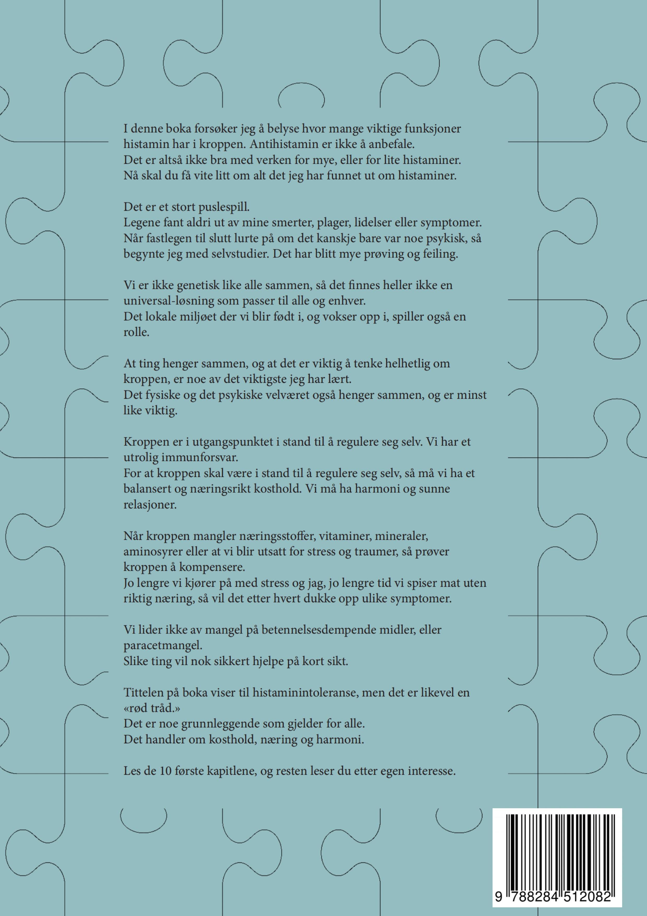 Rückseitencover Det store Histamin-Puslespillet