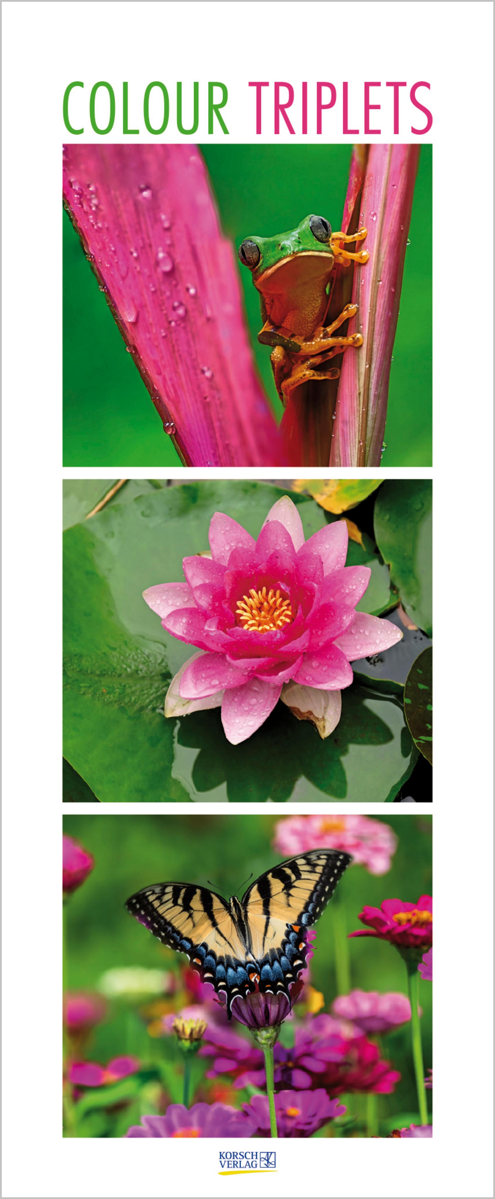 Vorderes Coverbild Colour Triplets 2026