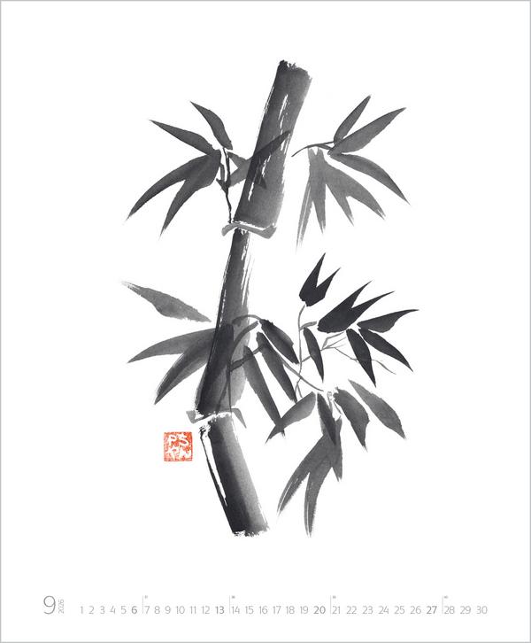 Beispielinhalt (Bild) Die Kunst der Klarheit 2026