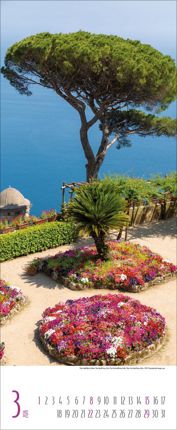 Beispielinhalt (Bild) Bäume 2026