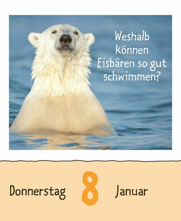 Beispielinhalt (Bild) Wie faul ist das Faultier? 2026