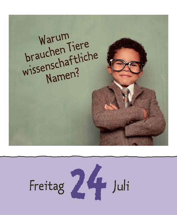 Beispielinhalt (Bild) Wie faul ist das Faultier? 2026