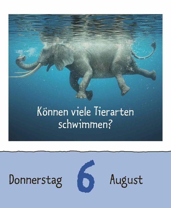 Beispielinhalt (Bild) Wie faul ist das Faultier? 2026
