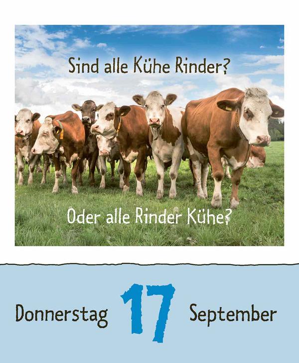 Beispielinhalt (Bild) Wie faul ist das Faultier? 2026