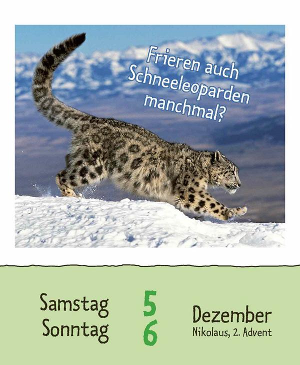 Beispielinhalt (Bild) Wie faul ist das Faultier? 2026