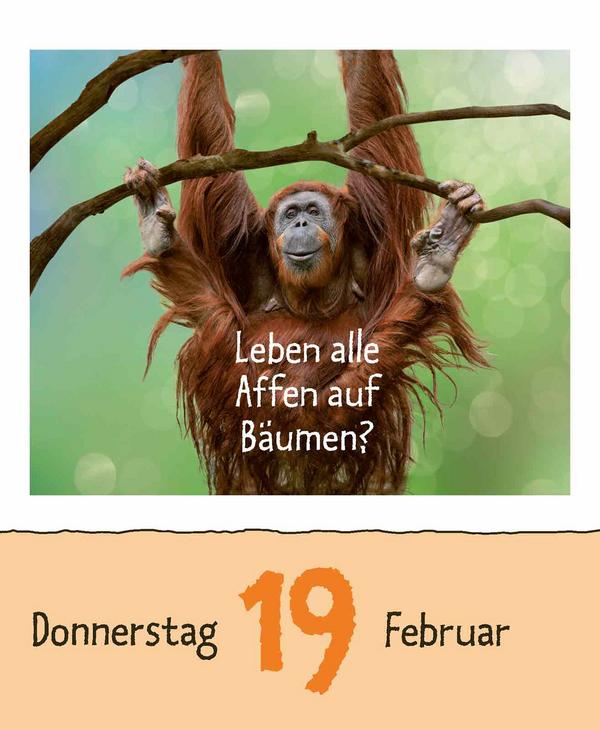 Beispielinhalt (Bild) Wie faul ist das Faultier? 2026
