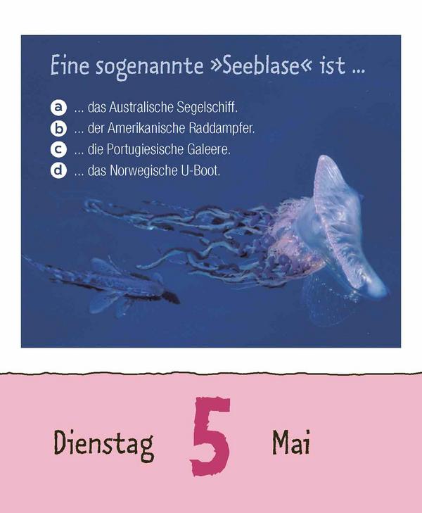 Beispielinhalt (Bild) Wie faul ist das Faultier? 2026