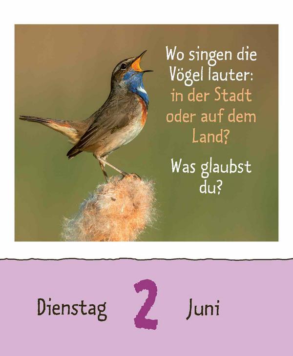 Beispielinhalt (Bild) Wie faul ist das Faultier? 2026